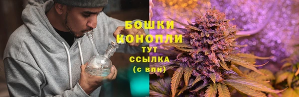 PSILOCYBIN Бугульма